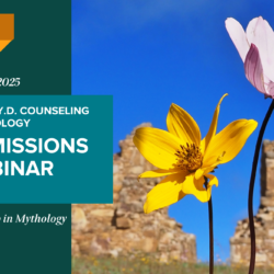 Admission Webinar Events Page graphic (17)