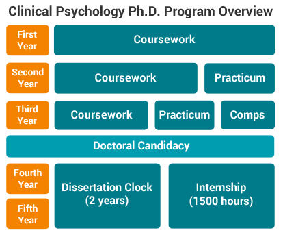 Clinical PhD Program Overview Chart