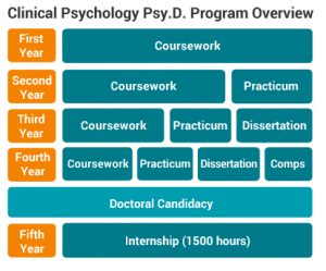 clinical developmental psychology phd programs