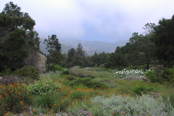 Santa Barbara Botanic Garden