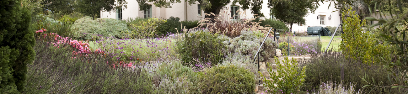 Image of the Lambert Campus Landscape