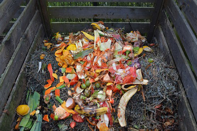 Compost pile