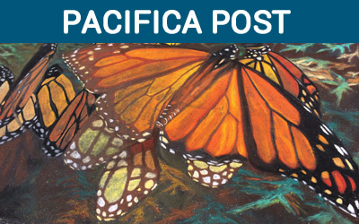 Pacifica Pos<a href=