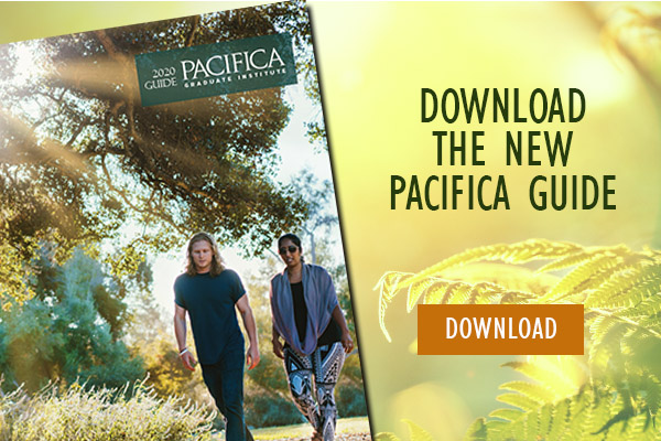 Download The Pacifica Guide