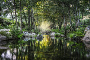 Holly river, sierra de gata