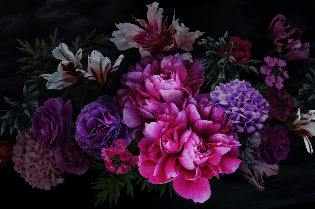 Luxurious baroque bouquet. Beautiful garden flowers and leaves on black background. Pink peonies, roses, tulips and hydrangea. Luxury design. Vintage illustration. Floral wedding decoration.