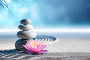 pink water lily in rock garden - meditation of soul