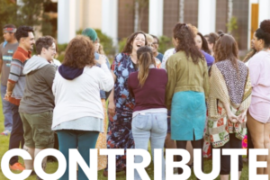 contribute