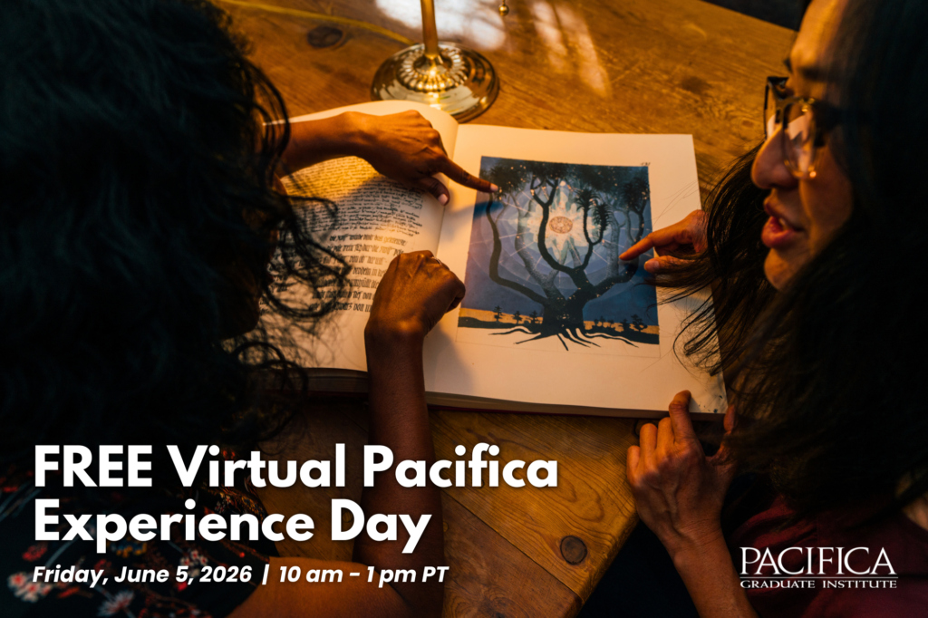 Pacifica Experience Day Slider